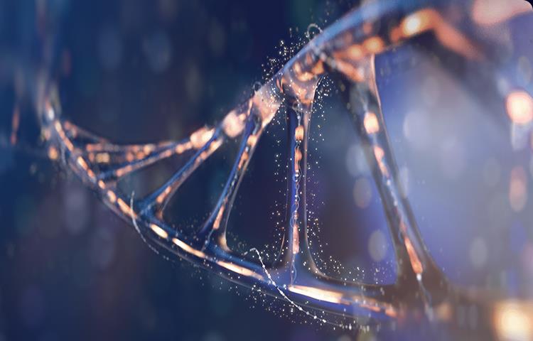 細胞行為改變或凋亡